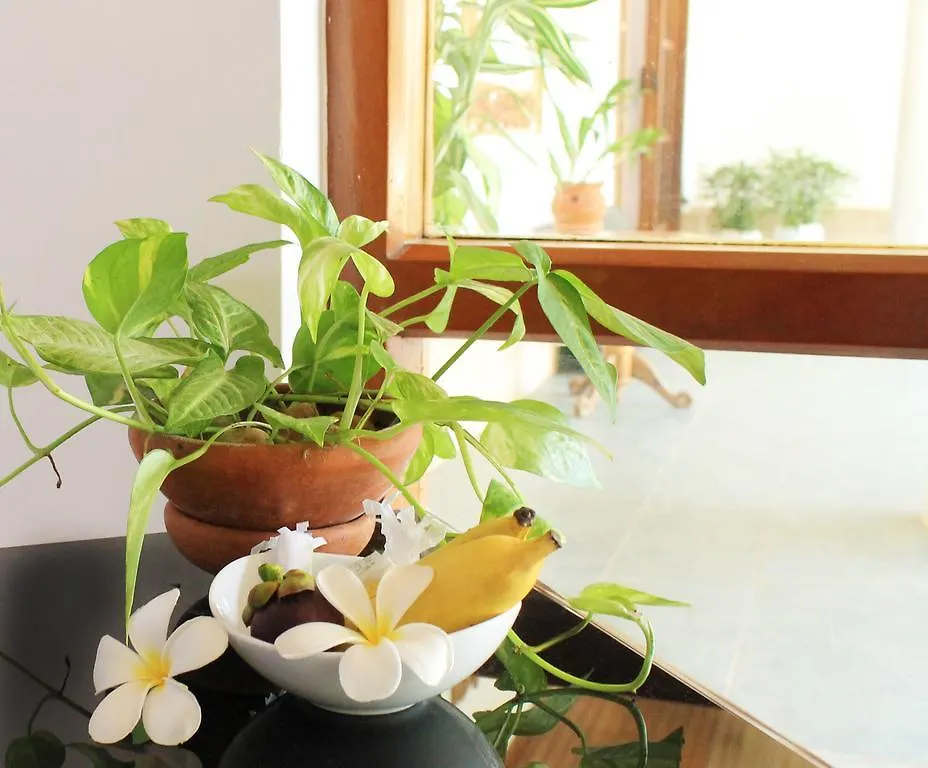 Hotel Sobaya Bungalow Negombo Villa